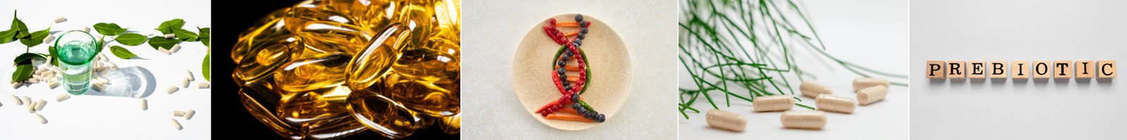 Food Supplements / Nutraceuticals